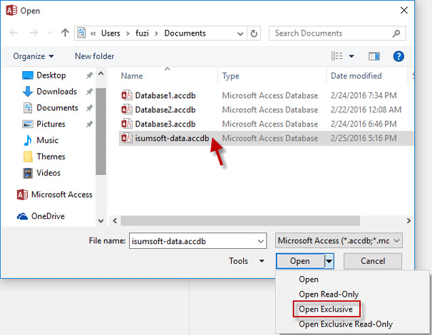 Open Access database in Exclusive mode