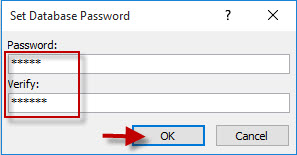 Reset a new database password