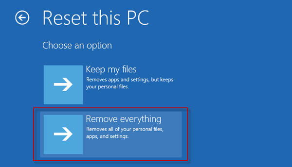 reset pc remove everything