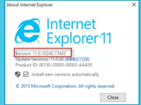 check internet explorer version