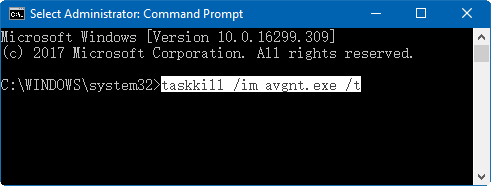 Execute the taskkill command