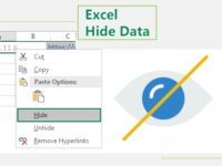 Excel hide data