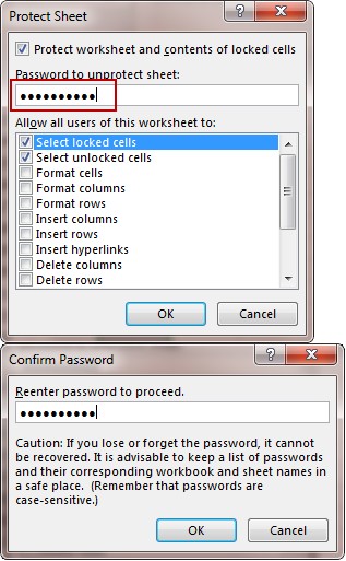 set password to protect the excel worksheet