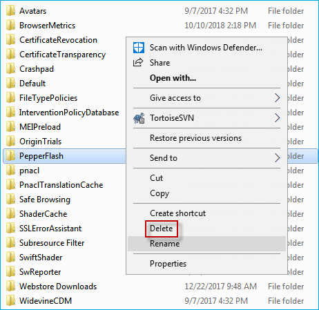 delete the pepperflash folder