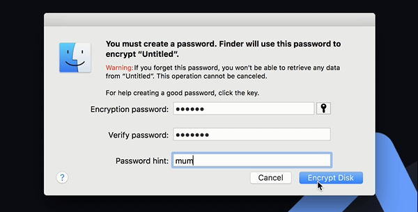 Enter the encryption password