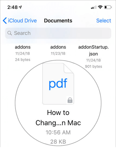 Open a password secured PDF document in iPhone or iPad