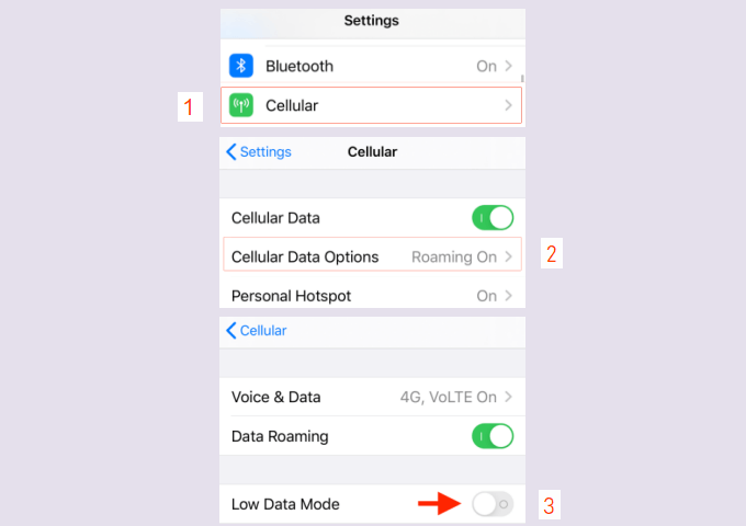 Enable Low Data Mode for Cellular Data