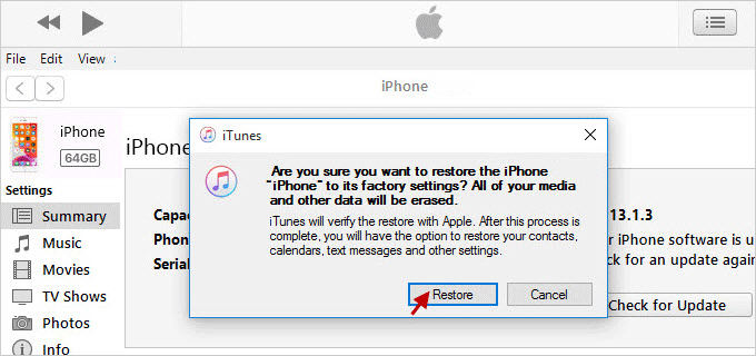 restore iPhone