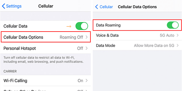 iPhone Says No Service and iPhone Network Not Available - Solved