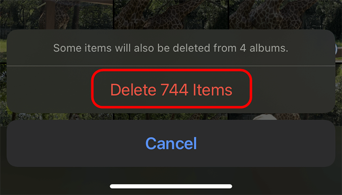 tap Delete Items
